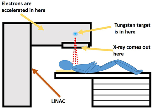 图1 -在医用直线加速器(LINAC)内部，电子被加速到极高的速度，并猛烈撞击钨靶。