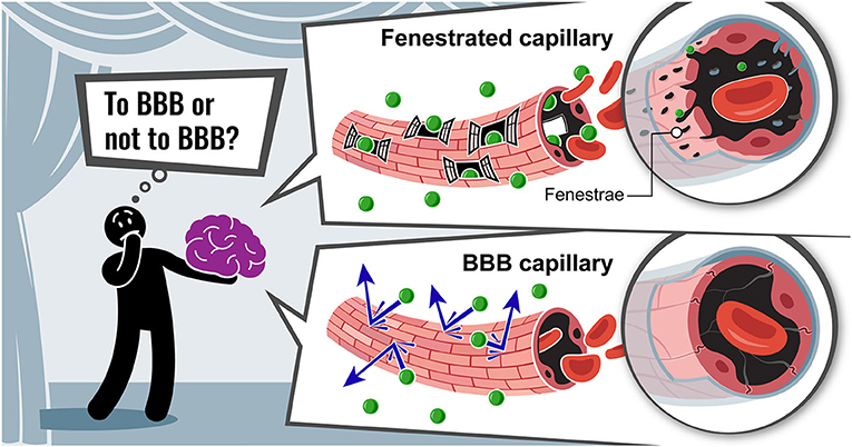 图3 - BBB BBB还是不?