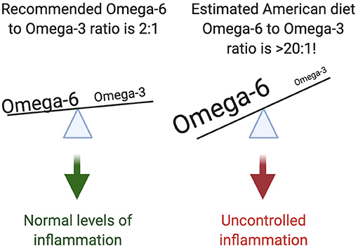 图3 -大多数美国人的饮食中omega-6和omega-3的含量严重不平衡。