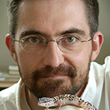 Matthew K. Vickaryous