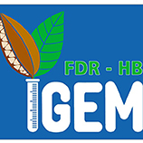 fdr - hb_秘鲁iGEM小组