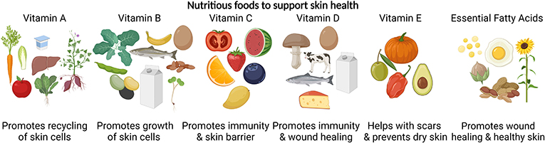 图2——维生素和食物来源的例子支持健康的皮肤。